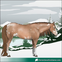 Horse Color:White Spotted Liver Chestnut Pearl 