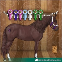 Horse Color:Chocolate Black