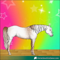 Horse Color:Gray Gold Champagne 