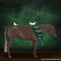 Horse Color:Liver Chestnut Rabicano 