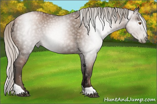 Horse Color:Gray Silver Black Pearl Tobiano