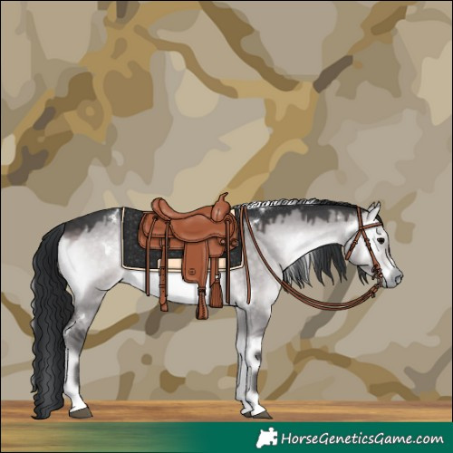 Horse Color:Platinum White Spotted Brown Onyx 