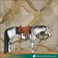 Horse Color:Platinum White Spotted Brown Onyx 