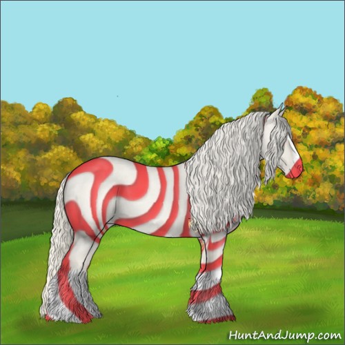 Horse Color:Silver Buckskin Roan Splash