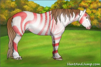 Horse Color:Gray Gold Champagne