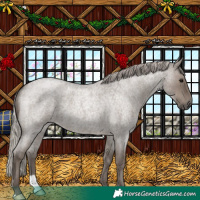 Horse Color:Silver Grullo Roan 