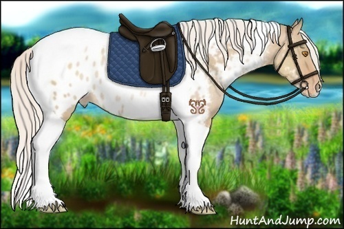 Horse Color:Silver Grullo Pearl Tobiano Appaloosa Rabicano 