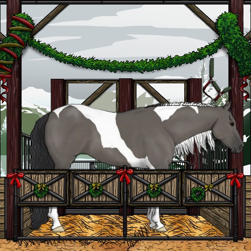 Horse Color:Grullo Tobiano 