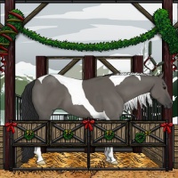 Horse Color:Grullo Tobiano