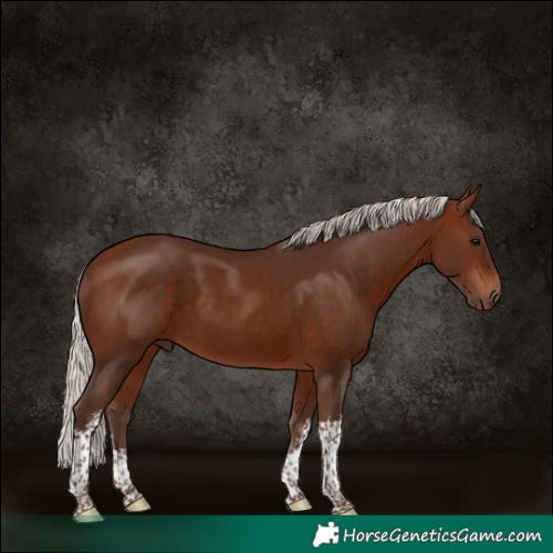 Horse Color:White Spotted Silver Bay Tobiano 