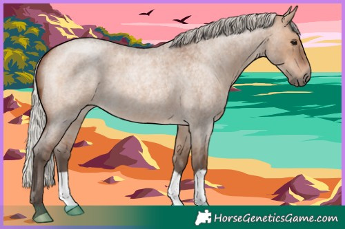 Horse Color:Silver Brown Roan Dun 
