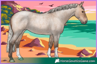 Horse Color:Silver Brown Roan Dun 