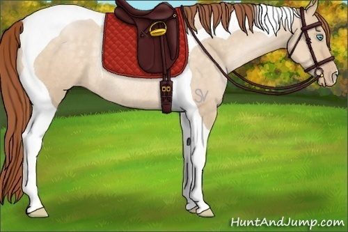Horse Color:Buckskin Pearl Dun Tobiano Rabicano 