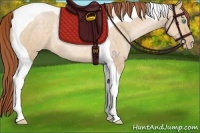Horse Color:Buckskin Pearl Dun Tobiano Rabicano
