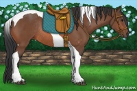 Horse Color:Bay Tobiano Rabicano 