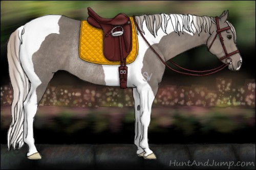 Horse Color:Silver Black Tobiano Rabicano