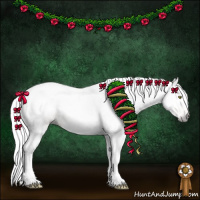 Horse Color:Gray Gold Champagne 