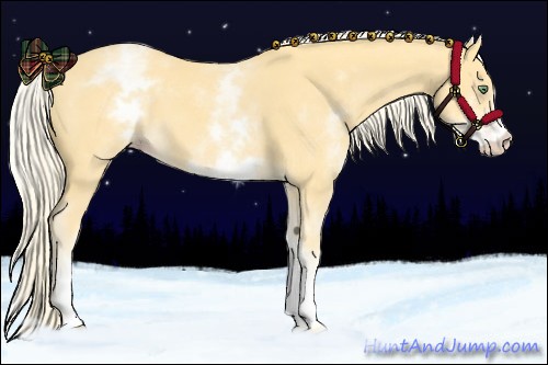 Horse Color:White Spotted Gold Cream Champagne 
