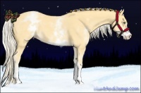 Horse Color:White Spotted Gold Cream Champagne