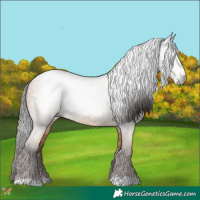 Horse Color:Gray Amber Champagne 