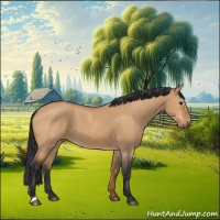 Horse Color:Bay Dun