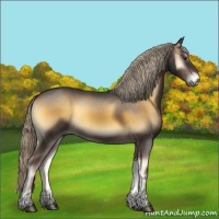 Horse Color:Chocolate Palomino Onyx 