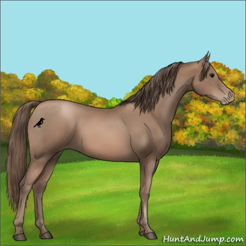Horse Color:Black Pearl