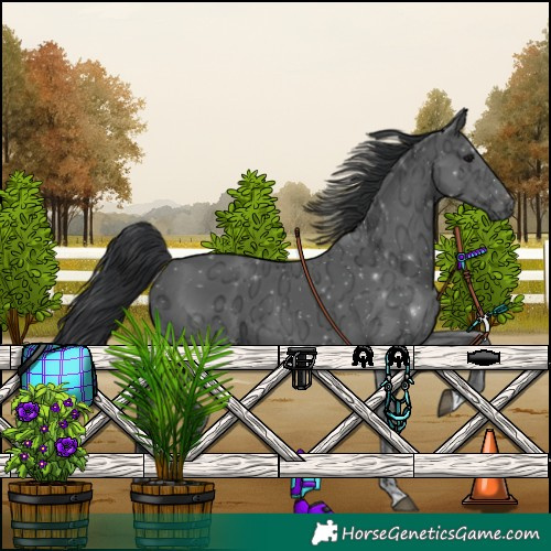Horse Color:Black Ice 