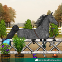 Horse Color:Black Ice 