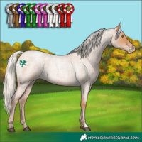 Horse Color:Silver Brown Roan Pearl 