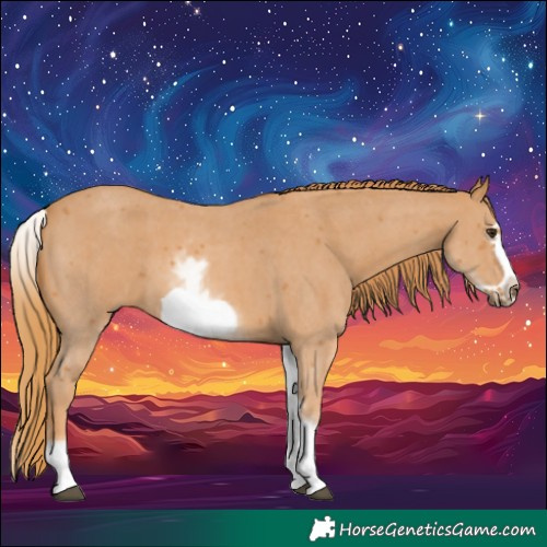 Horse Color:White Spotted Chestnut Sabino Frame