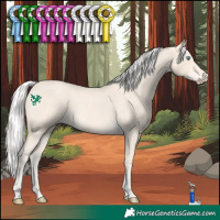 Horse Color:Silver Perlino Roan 