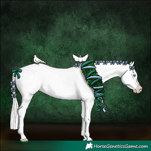 Horse Color:Cremello Appaloosa 