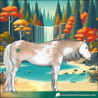 Horse Color:Silver Brown Dun Splash Tobiano 