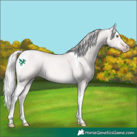 Horse Color:Platinum Silver Amber Cream Champagne Tobiano 