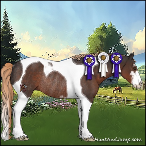 Horse Color:Liver Chestnut Sabino Tobiano Rabicano