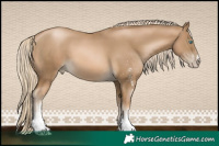 Horse Color:White Spotted Chocolate Palomino Pearl 