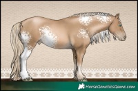 Horse Color:White Spotted Chocolate Palomino Pearl 