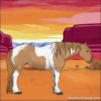 Horse Color:Chestnut Tobiano 