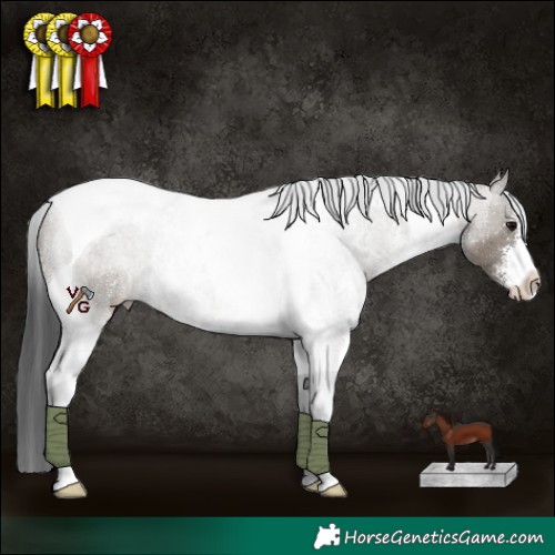 Horse Color:Grullo Sabino Tobiano 