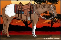 Horse Color:Chestnut Snowcap 