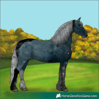 Horse Color:ERROR: UNKNOWN ANOMALY