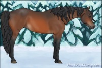 Horse Color:Brown 