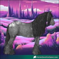 Horse Color:Black Ice 