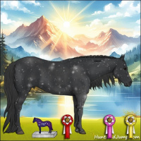 Horse Color:Black 