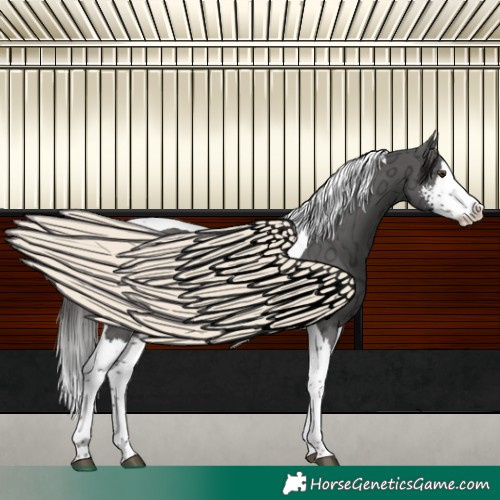 Horse Color:Liver Chestnut Ice Sabino Splash Tobiano 