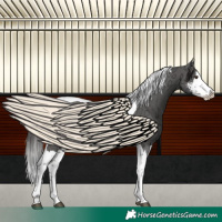 Horse Color:Liver Chestnut Ice Sabino Splash Tobiano