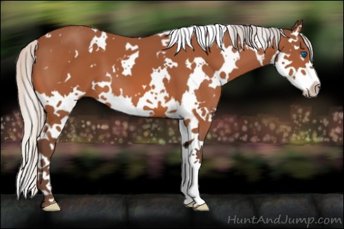 Horse Color:White Spotted Silver Bay Splash