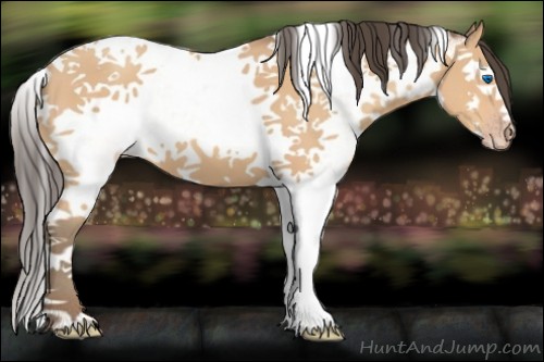 Horse Color:White Spotted Amber Champagne Splash Tobiano