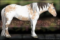 Horse Color:White Spotted Amber Champagne Splash Tobiano 